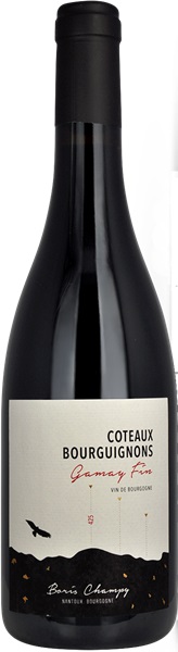 2022 Coteaux Bourguignons, Domaine Boris Champy